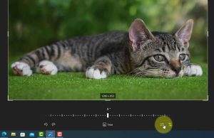 Windows 10 Photo Viewer Tutorial: Mastering Editing Tools & Techniques