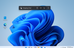 Take Screenshots with Snipping Tool Snipping
